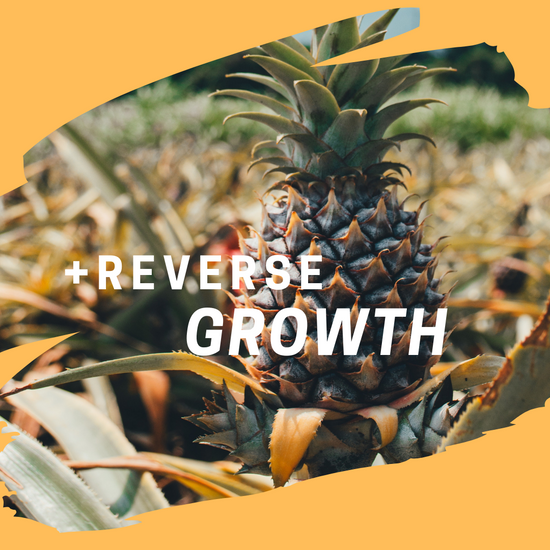 Reverse Growth Model